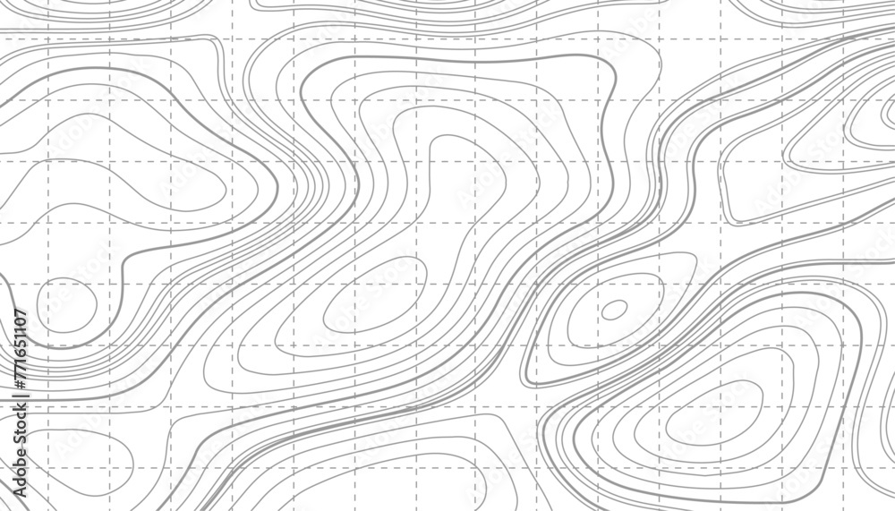 Background of the topographic map. Topographic map lines, contour background. geographic mountain relief. Retro topographic map.. Vector illustration. - obrazy, fototapety, plakaty 
