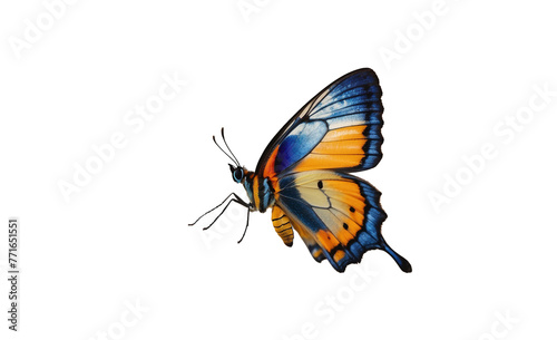 Beautiful butterfly in flight isolated on white background.