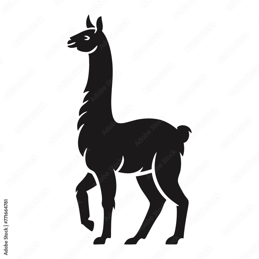 Fototapeta premium Llama Silhouette