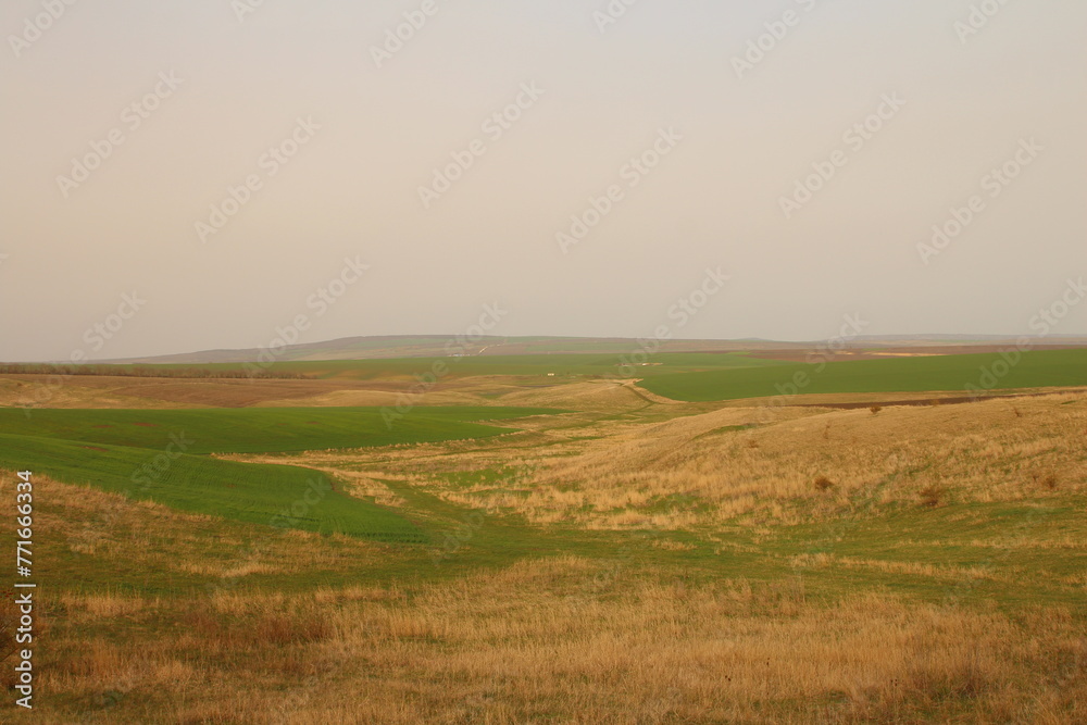 A field with grass and dirt A field with grass and dirt