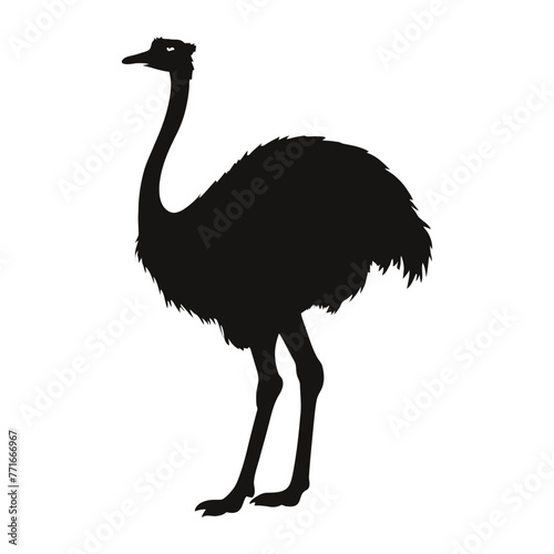 Ostrich Silhouette