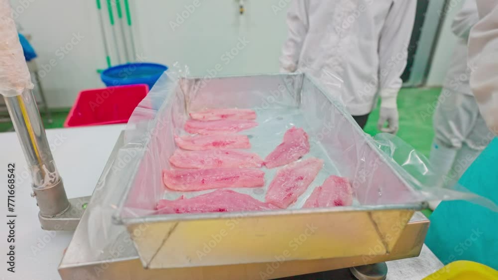 Workers arrange pieces of triggerfish meat to put in the cold storage Workers arrange pieces of triggerfish meat to put in the cold storage
