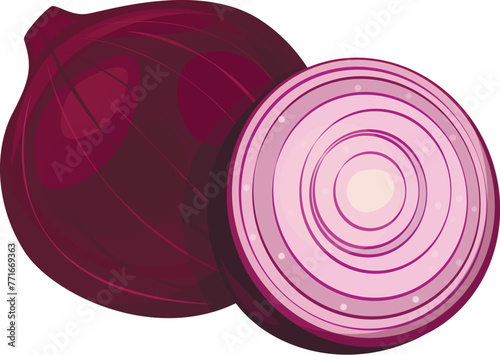 Red onion, cut into pieces, isolated on white background. Vector (ID: 771669363)