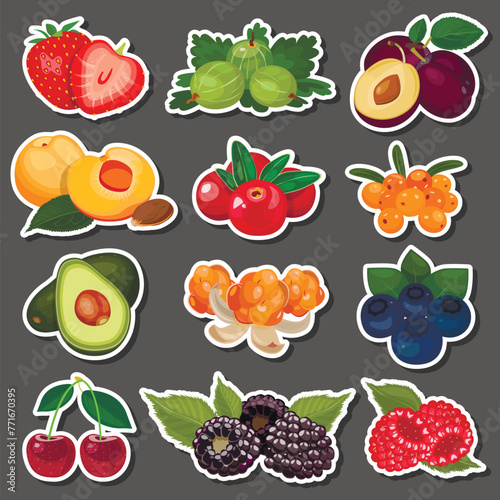 Fruits and berries. Stickers. Vector (ID: 771670395)