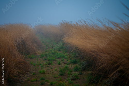 Polska Bieszczady Jesień photo