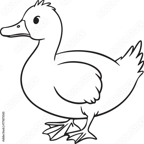 Duck coloring pages. Duck outline vector for coloring book