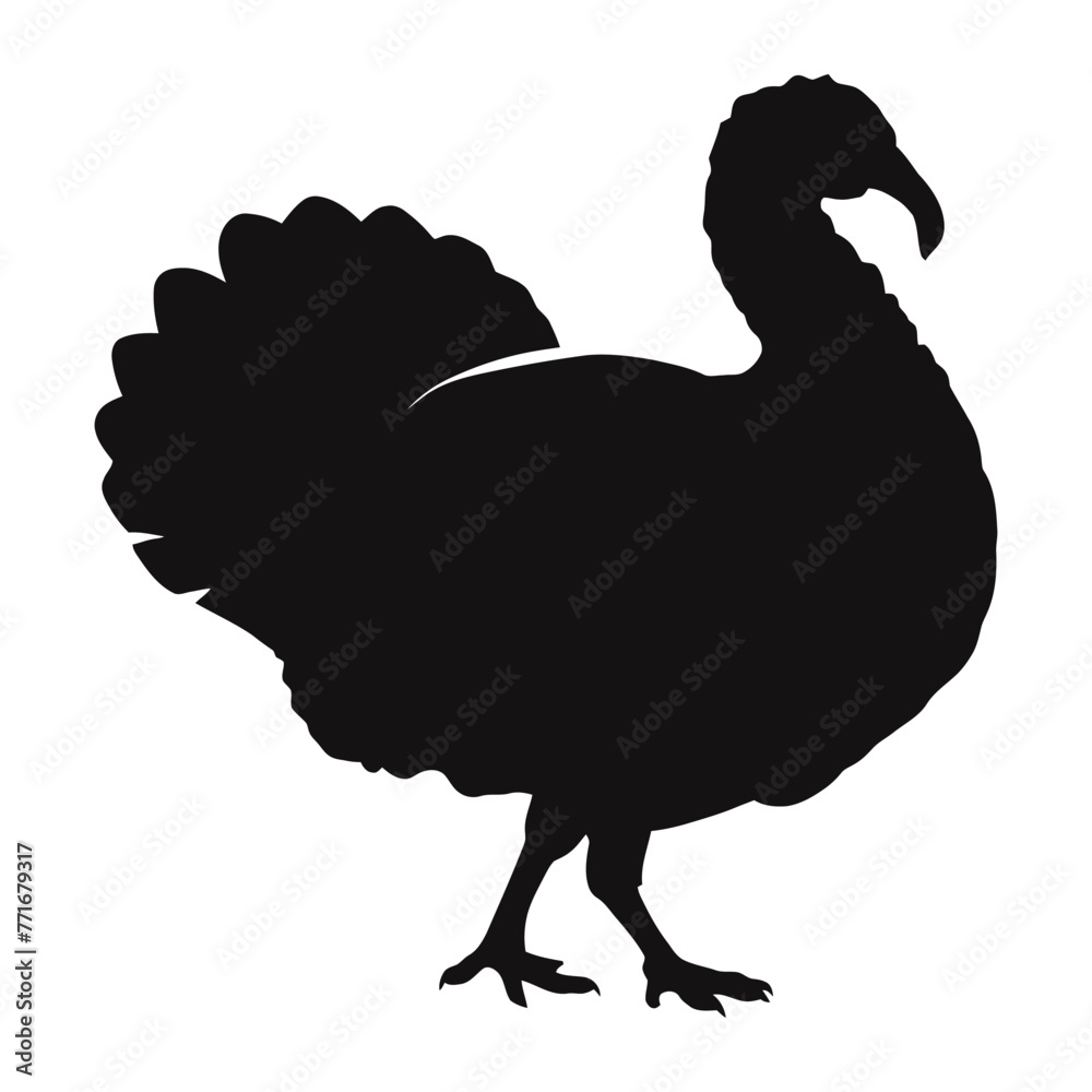 Fototapeta premium Turkey Silhouette