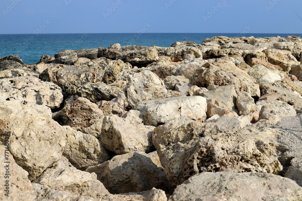 Stones and shells on the shore of the Mediterranean Sea.