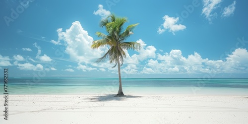 A palm tree is standing on a beach with a clear blue sky above it
