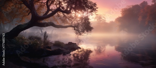 A misty lake with a tree in the foreground, under a colorful sunset sky. The atmospheric conditions create a mesmerizing natural landscape