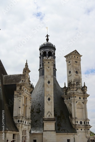 CASTILLO DE CHAMBOR, VALLE DEL LOIRE. FRANCIA. EUROPA photo