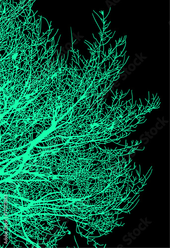 arboles, vector, silueta, paisaje, arbol, florecer, ramas, hojas, bosque, ilustracion, arte, naturaleza, descanso, follaje, textura