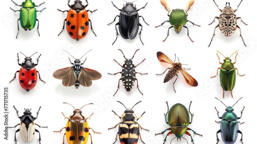 insects set collection. Isolated on white background Generative ai animal