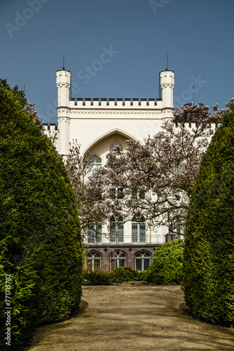 Zamek w Kórniku, muzeum z kwitnącymi drzewami magnolii. 