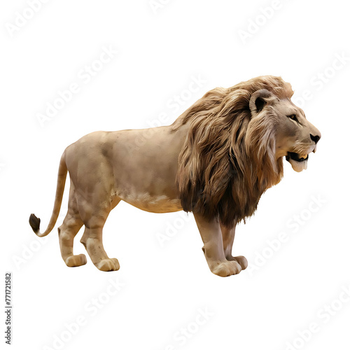 Wild lion side view lion cut out isolated on transparent background © Rini Aprilia