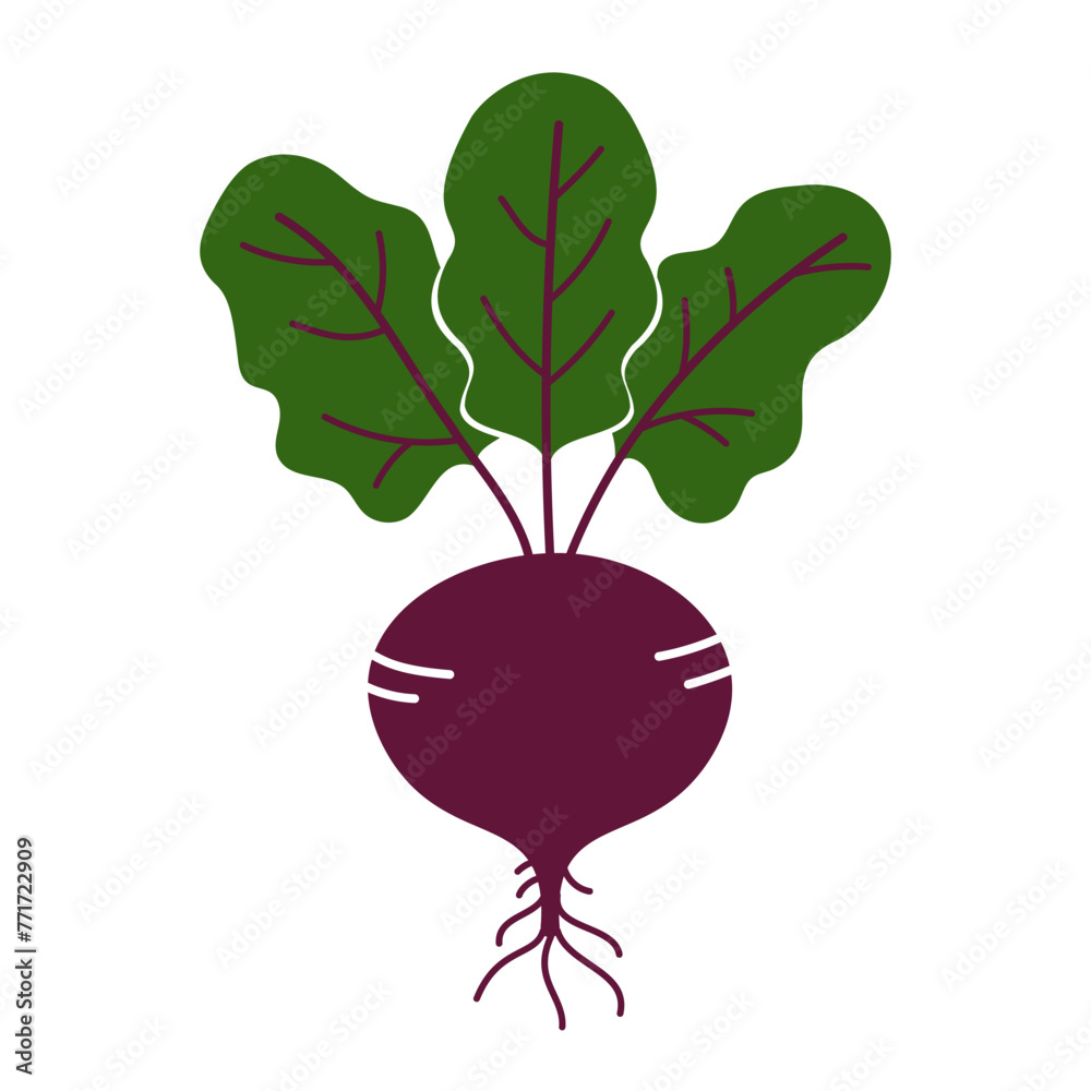 Beet flat icon isolated on white. Vector illustration
