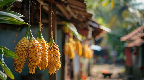 Traditional Sinhala and Tamil New Year decorations, such as handwoven palm leaf decorations (Kokis) hanging outdoors, with the backdrop of a village setting. photo