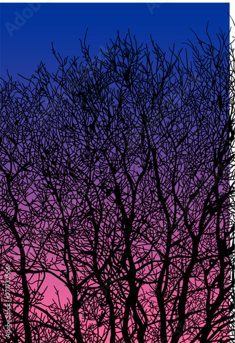 arboles, vector, silueta, paisaje, arbol, florecer, ramas, hojas, bosque, ilustracion, arte, naturaleza, descanso, follaje, textura