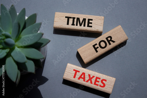 Time for Taxes symbol. Concept words Time for Taxes on wooden blocks. Beautiful grey background with succulent plant. Business and Time for Taxes concept. Copy space.