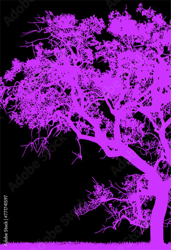 arboles, vector, silueta, paisaje, arbol, florecer, ramas, hojas, bosque, ilustracion, arte, naturaleza, descanso, follaje, textura