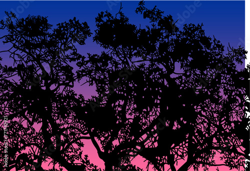 arboles, vector, silueta, paisaje, arbol, florecer, ramas, hojas, bosque, ilustracion, arte, naturaleza, descanso, follaje, textura