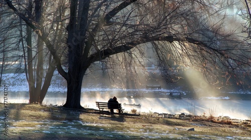  A person sat on a bench, facing a tree and water body with snow covering the ground © Olga