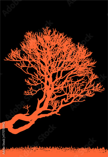 arboles, vector, silueta, paisaje, arbol, florecer, ramas, hojas, bosque, ilustracion, arte, naturaleza, descanso, follaje, textura