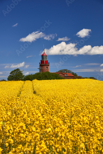 Lighthouse Buk near Bastdorf in yellow field