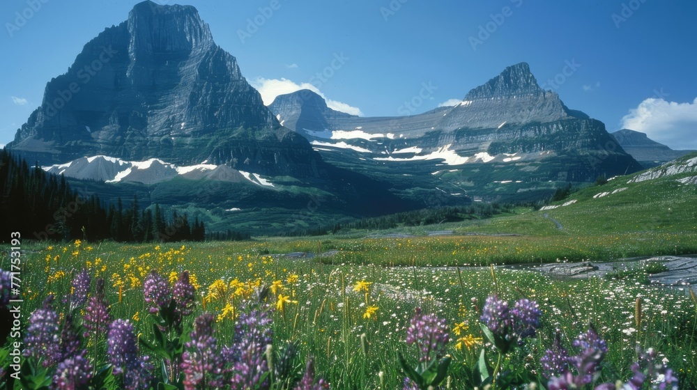  A panorama of a meadow brimming with wildflowers, set against the majestic backdrop of snow-capped mountains