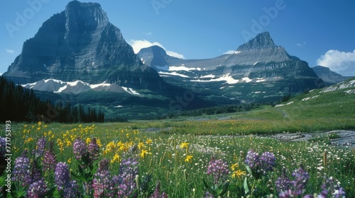  A panorama of a meadow brimming with wildflowers, set against the majestic backdrop of snow-capped mountains