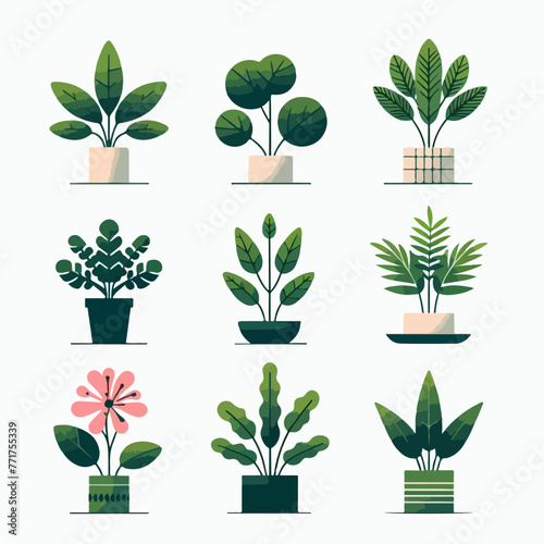Vector set of plants with a simple and minimalist flat design style