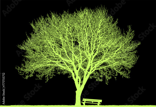 arboles, vector, silueta, paisaje, arbol, florecer, ramas, hojas, bosque, ilustracion, arte, naturaleza, descanso, follaje, textura