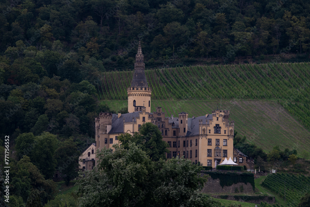 Croisière sur le Rhin romantique, au pays des châteaux