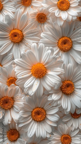 Cluster of White Flowers on White Background