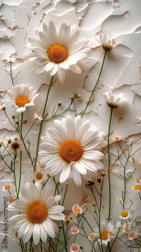 Cluster of White Flowers on White Background
