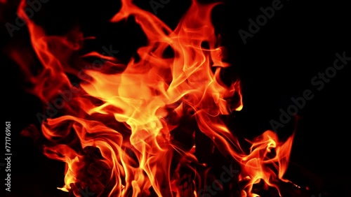 Red flames covering the wooden logs in the campfire. Close up. Campfire at black backdrop.