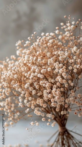 Small White Flowers on Table