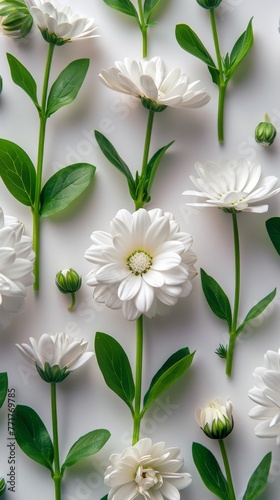 White Flowers on White Background