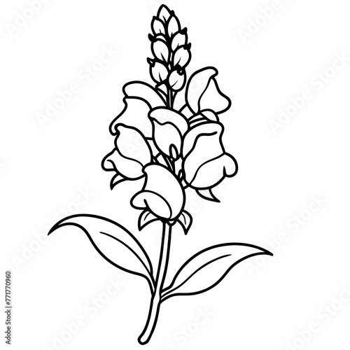 Vibrant Snapdragon Flower Vector Illustrations for Stunning Designs