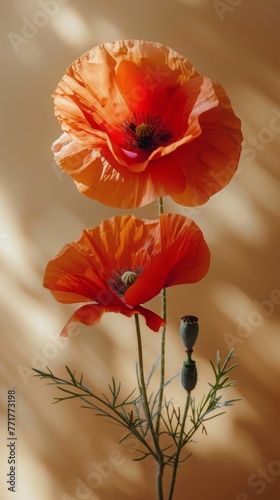Red Flowers in Vase