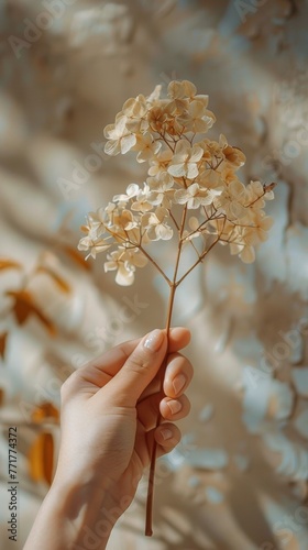 Person Holding Flower