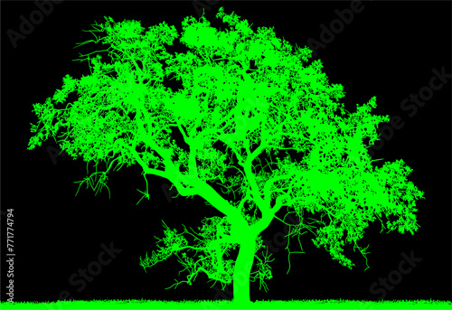 arboles, vector, silueta, paisaje, arbol, florecer, ramas, hojas, bosque, ilustracion, arte, naturaleza, descanso, follaje, textura