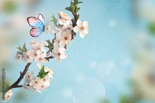Blossom tree over nature background with butterfly. Spring flowers. Spring background. © Belight