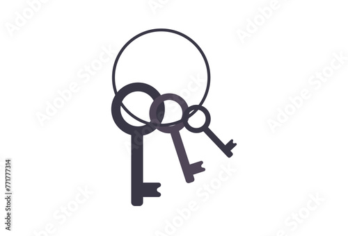 Prison lock is a tool used to lock and unlock prison cell doors. This key is usually only owned by prison officers or security officers on duty in prisons. Jail locks are an important part