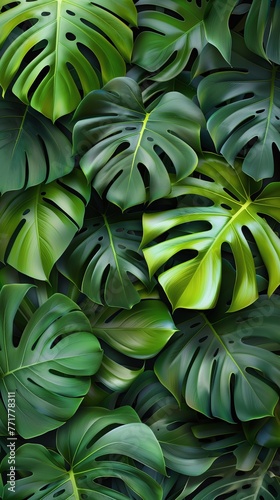 Green Leaves Adorning Wall