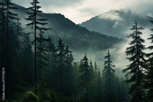 Majestic Mountain pine tree. Scene view. Generate Ai