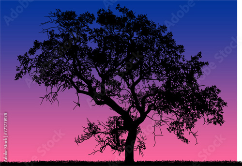 arboles, vector, silueta, paisaje, arbol, florecer, ramas, hojas, bosque, ilustracion, arte, naturaleza, descanso, follaje, textura