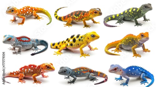 Cute photo realistic animal lizzard set collection. Isolated on white background photo