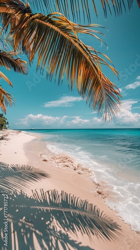 Beach With Palm Trees and Ocean