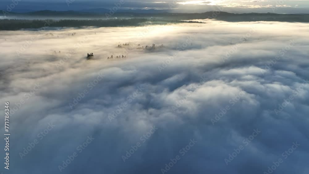 Early morning sunlight illuminates fog that has settled in the Willamette Valley in northern Oregon, not far south of Portland. The entire Pacific Northwest is known for its moist, temperate climate.